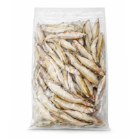 Fresh Frozen Fish Smelts Korushka Whole – 11 lb (4.99 kg)