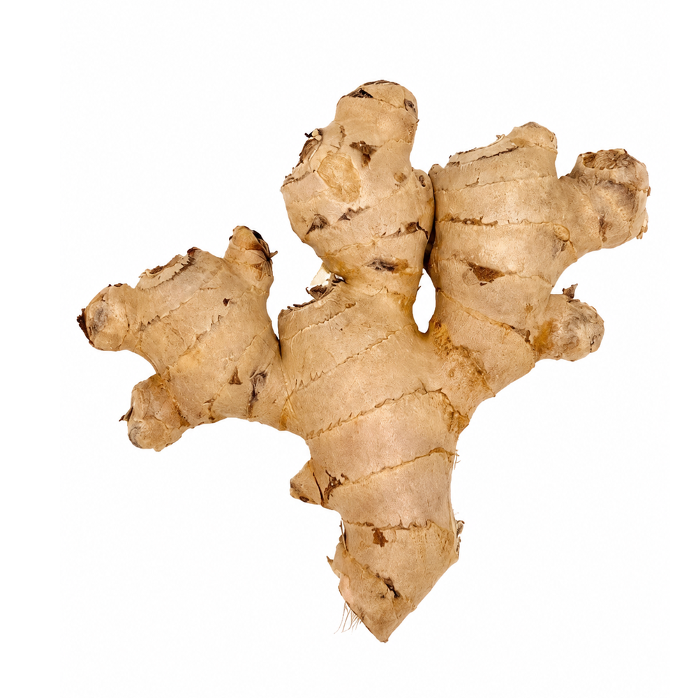 Fresh Ginger – 1 lb (454g)
