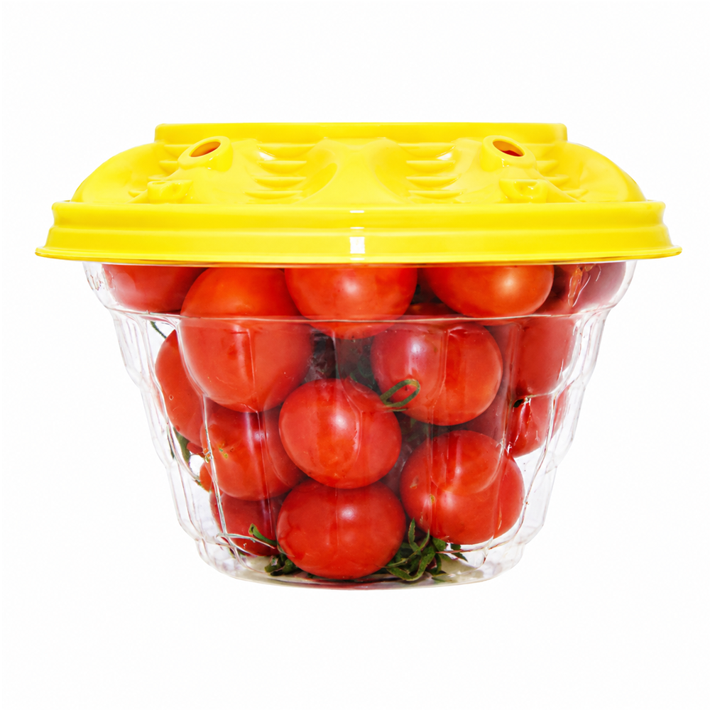 Cherubs Tomatoes – Sold by Pack