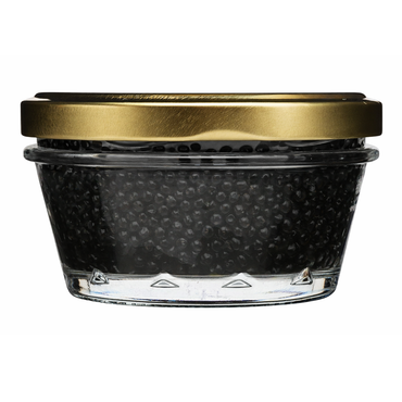 Black Caviar Kaluga Malossol – Jar – 3.53 oz (100 gr)