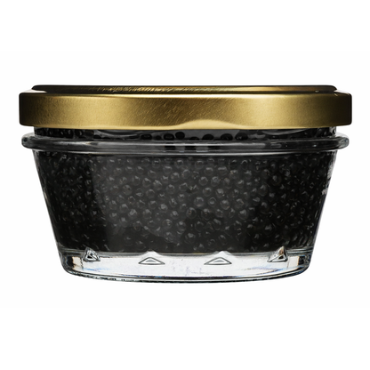 Black Caviar Kaluga Malossol – Jar – 3.53 oz (100 gr)
