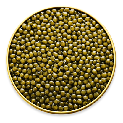 Black Caviar Golden Osetr –  Tin – 8.82 oz (250gr)
