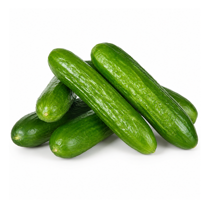 Mini Cucumbers – Pack – 1 lb (454gr)