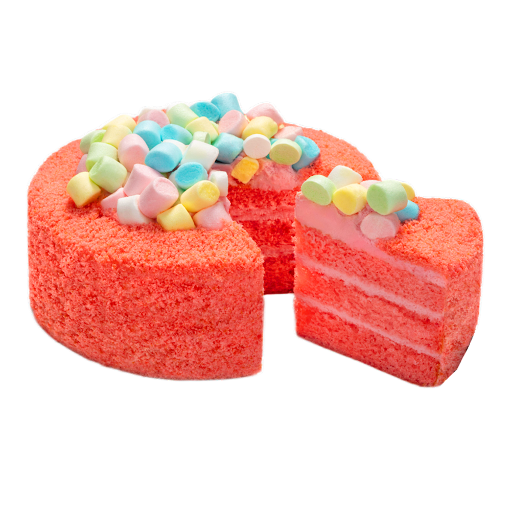 Cake – Bubble Gum – 22.93 oz (650 gr)